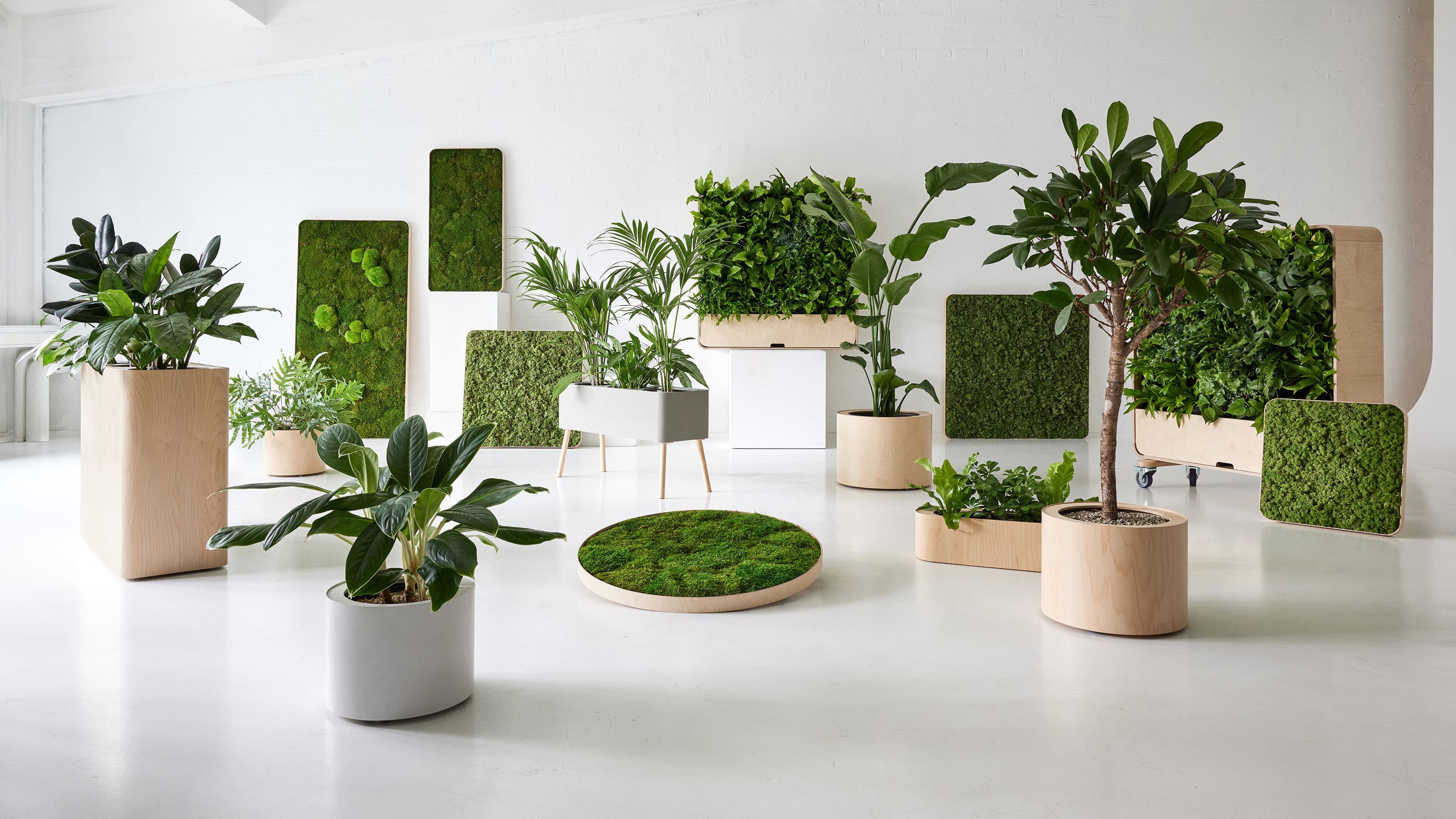 Product offering Image